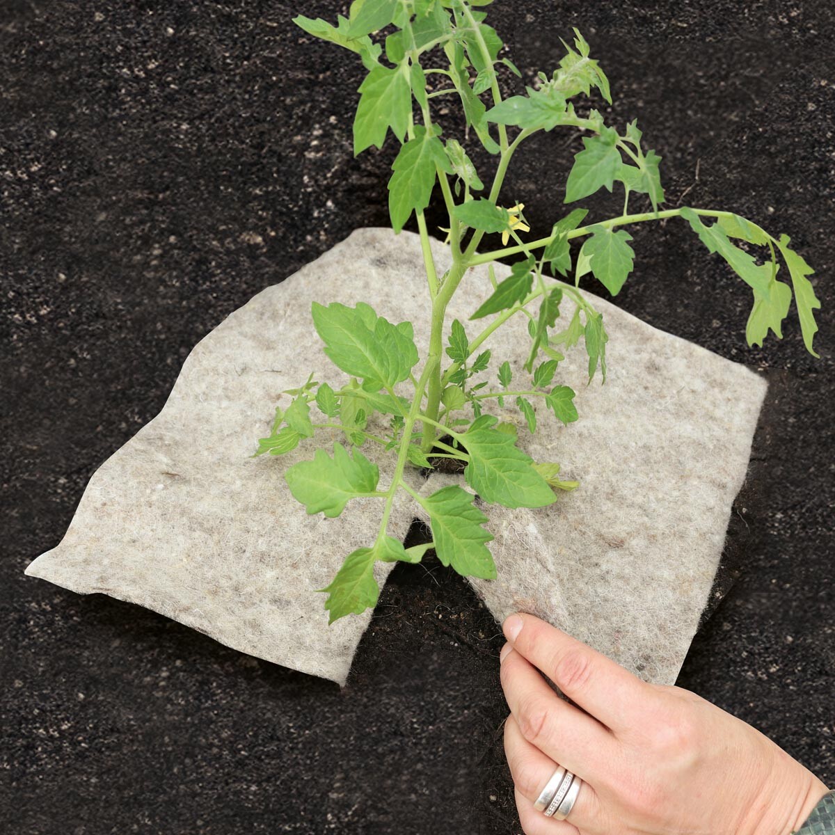 Videx Garden Přírodní zahradní vlna Mary’s QUAD Disc L