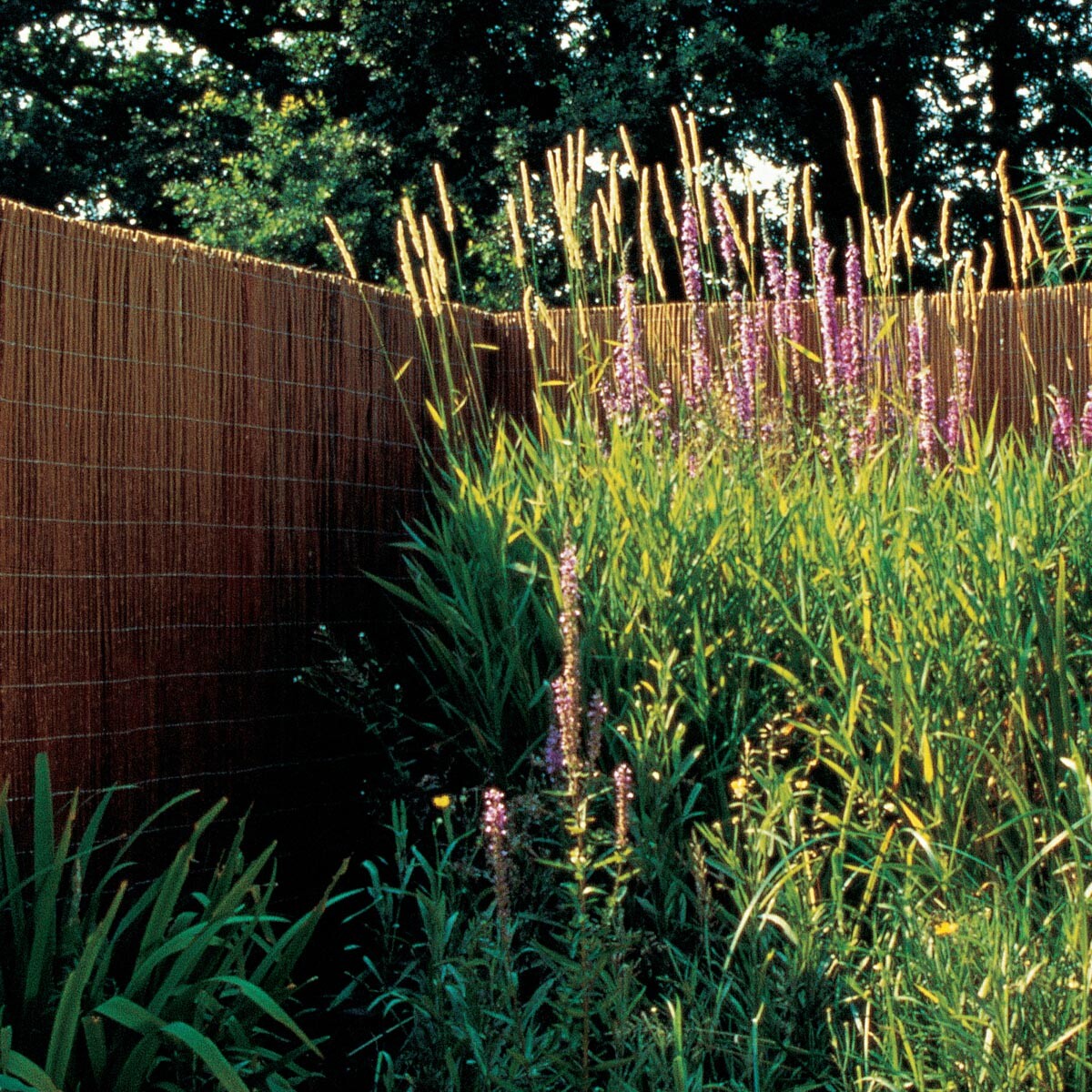 Videx Garden Vrbový plot PROVENCE, 150 x 300 cm, přírodní
