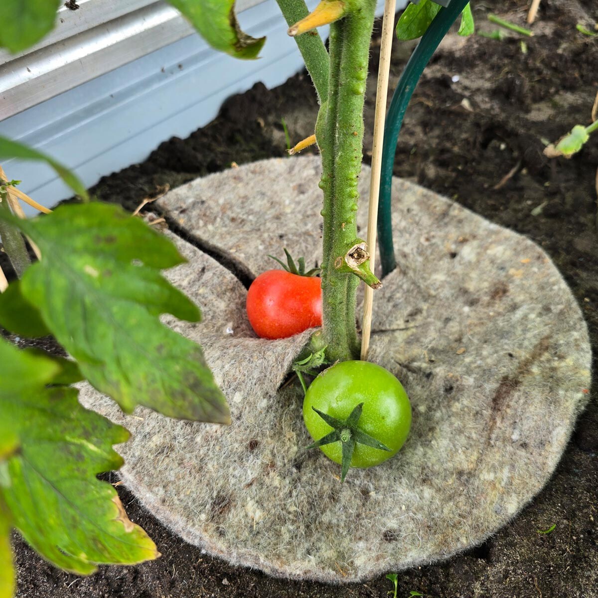 Videx Garden Přírodní zahradní vlna Mary's Disc, 24 cm