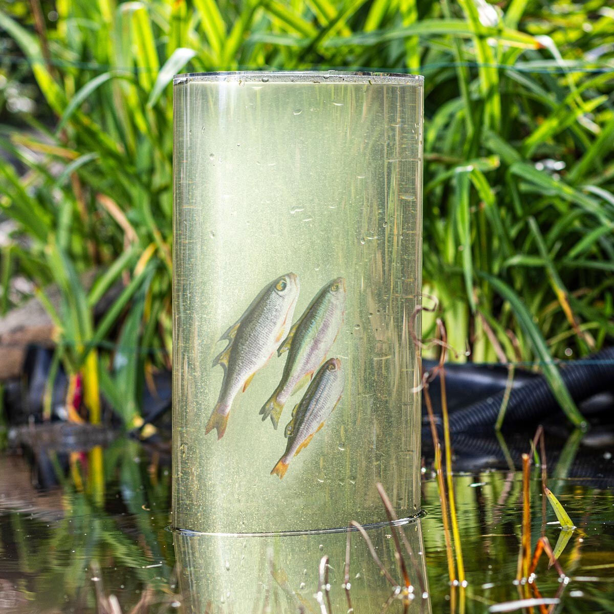 Haushalt international Rybí věž