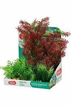 Rostliny akvarijní PLANTKIT 1 sada L Zolux