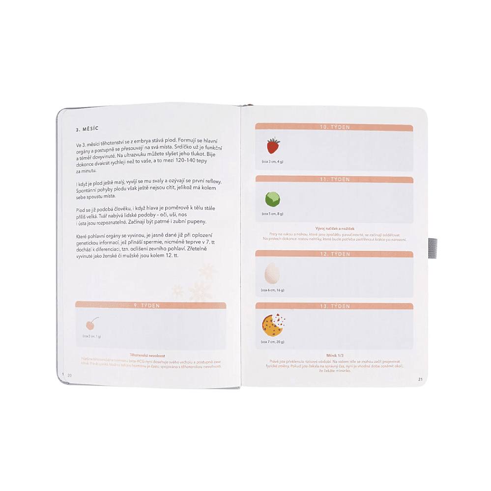 ALBI Těhotenský deník