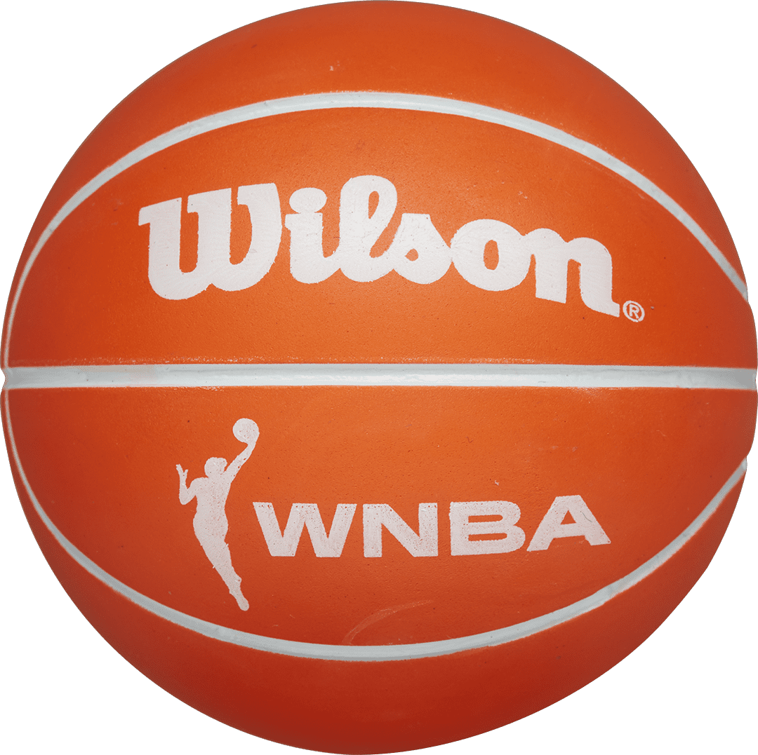 Míč Wilson Wilson WNBA Dribbler Fire Training Ball
