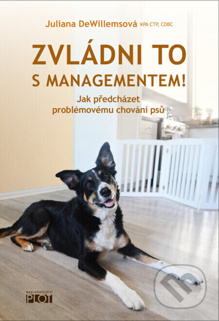 Zvládni to s managementem! - Juliana DeWillems