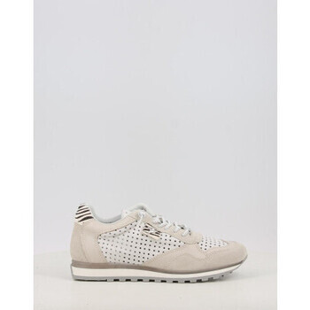 Cetti  C-848  ruznobarevne