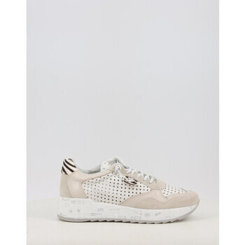 Cetti  848 XL  ruznobarevne