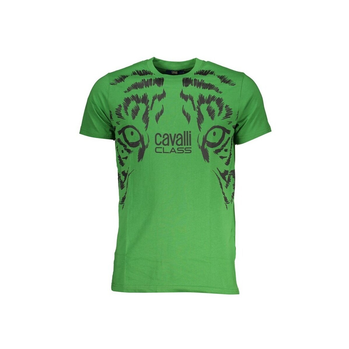 Roberto Cavalli  qxt62ujd060ve073342xl  Zelená