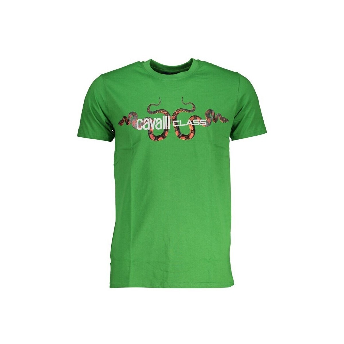 Roberto Cavalli  qxt63gjd060ve07334xl  Zelená