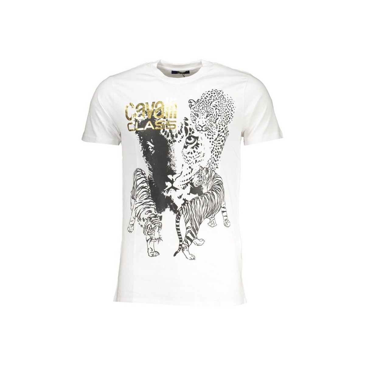 Roberto Cavalli  qxt63bjd060bi000532xl  ruznobarevne