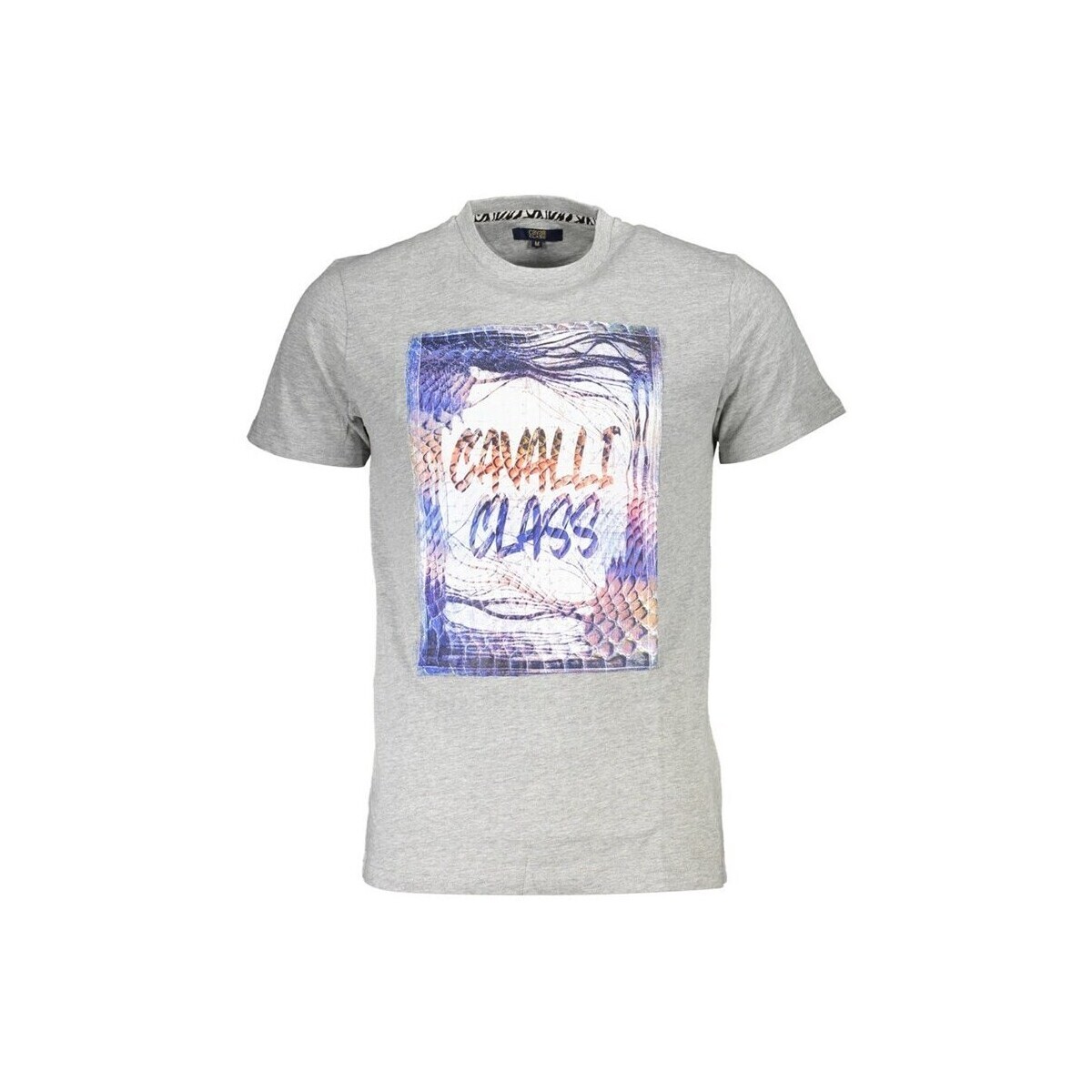 Roberto Cavalli  qxt61ojd060b4908c2grigio04962xl  ruznobarevne