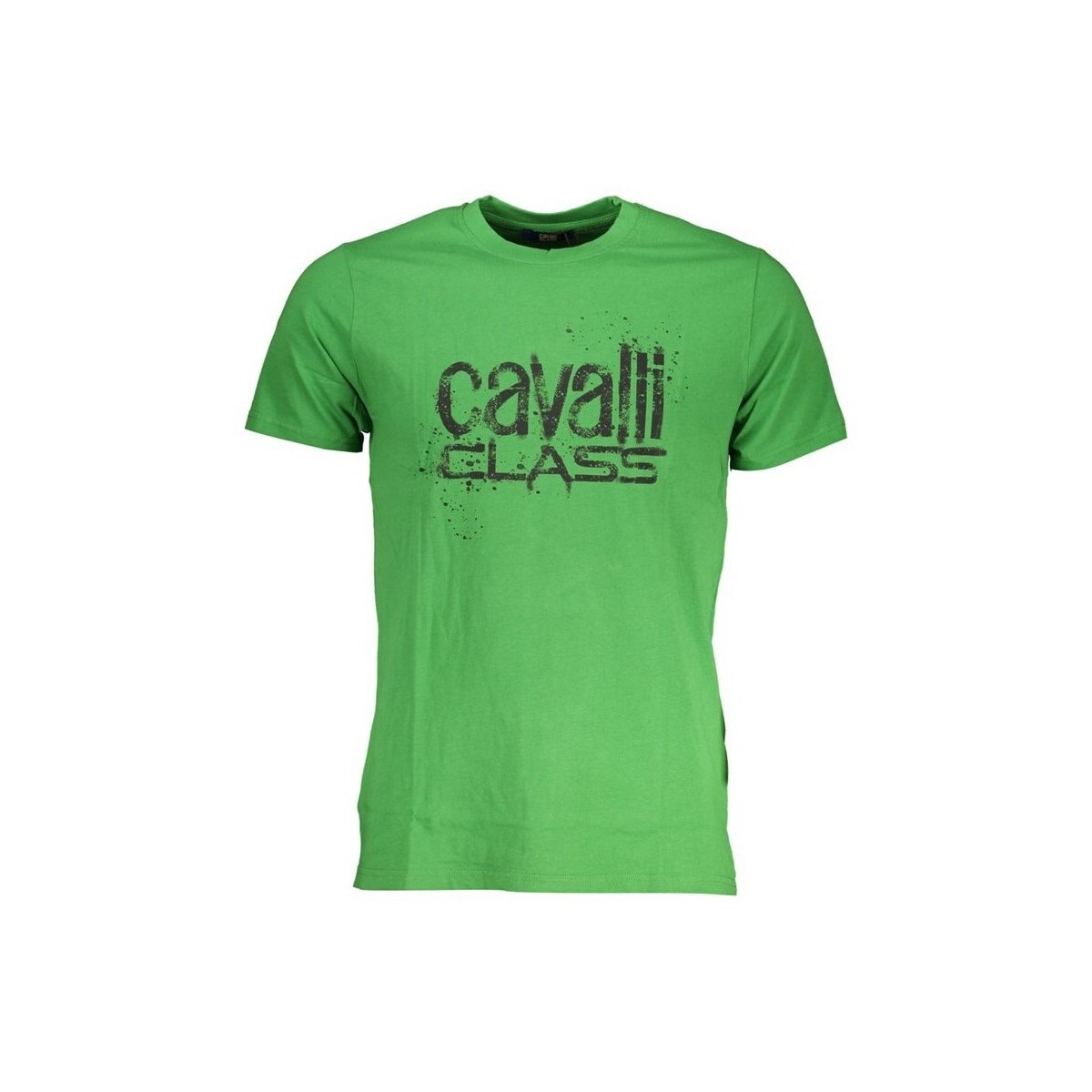 Roberto Cavalli  qxt62pjd060ve07334xl  Zelená