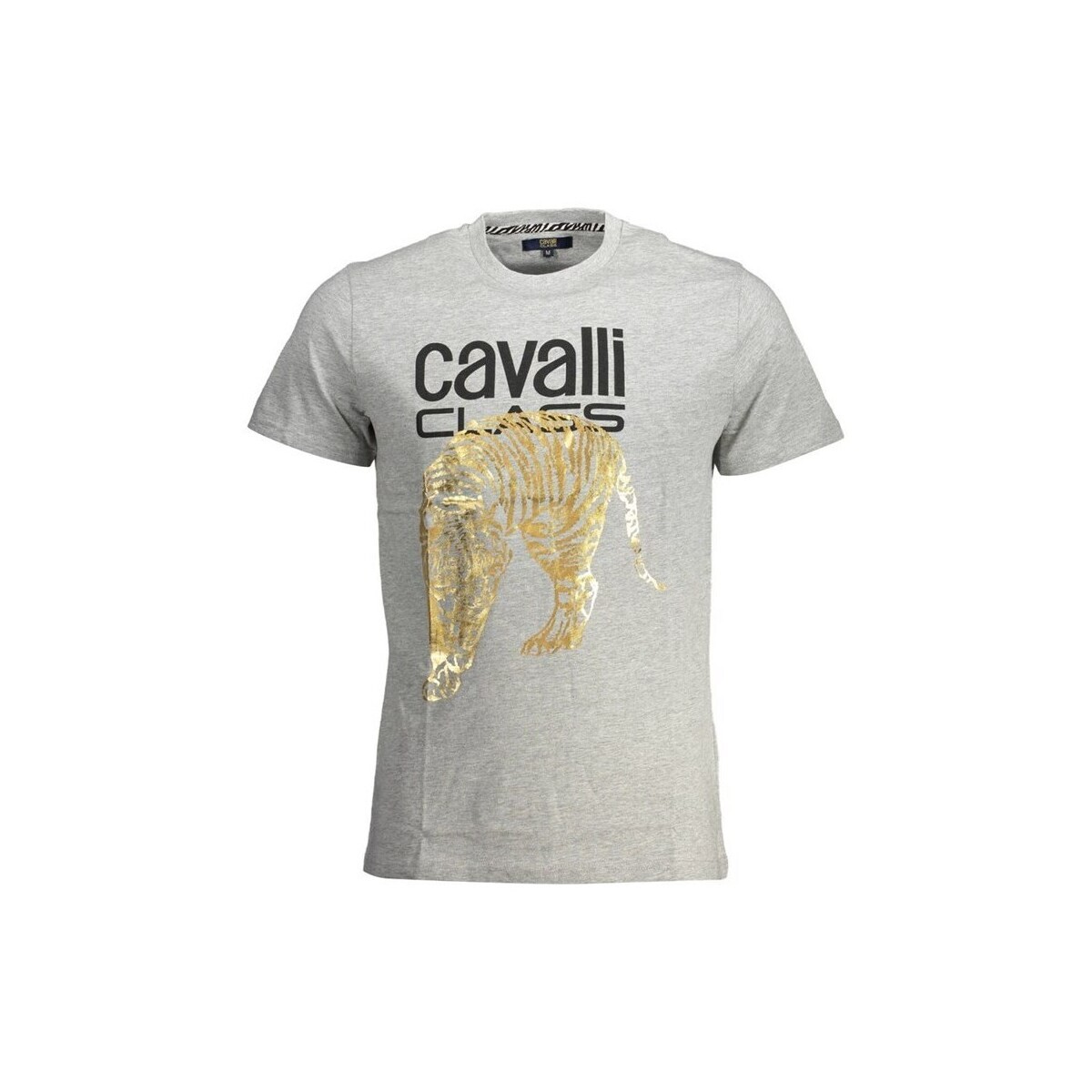 Roberto Cavalli  qxt061ijd060160bc49grigio04962xl  Zlatá