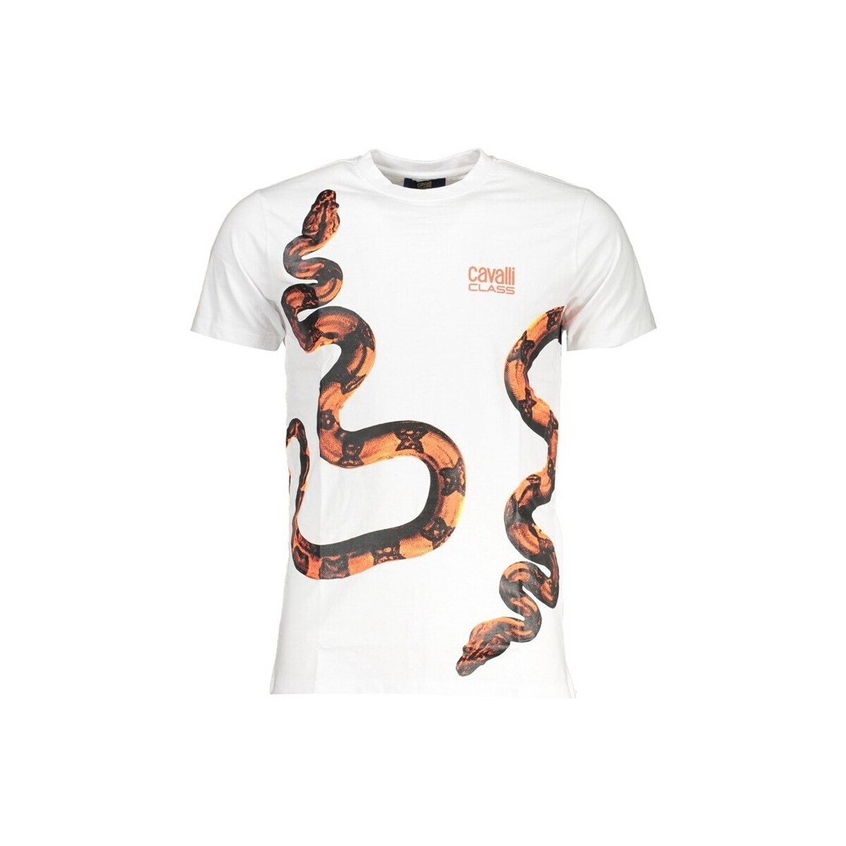 Roberto Cavalli  qxt63cjd060bi000532xl  Hnědá