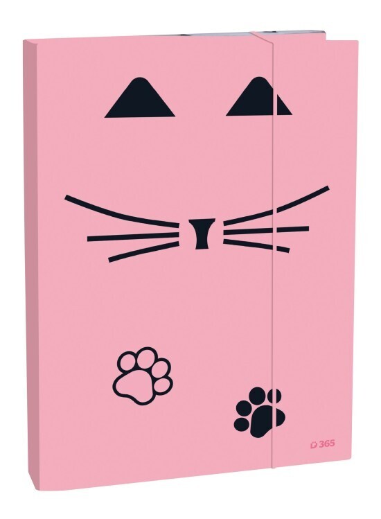 Stil Box na sešity A4 - Cat lady - CBA0704