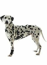 Bandáž Rehab karpální pro psa KRUUSE XXS