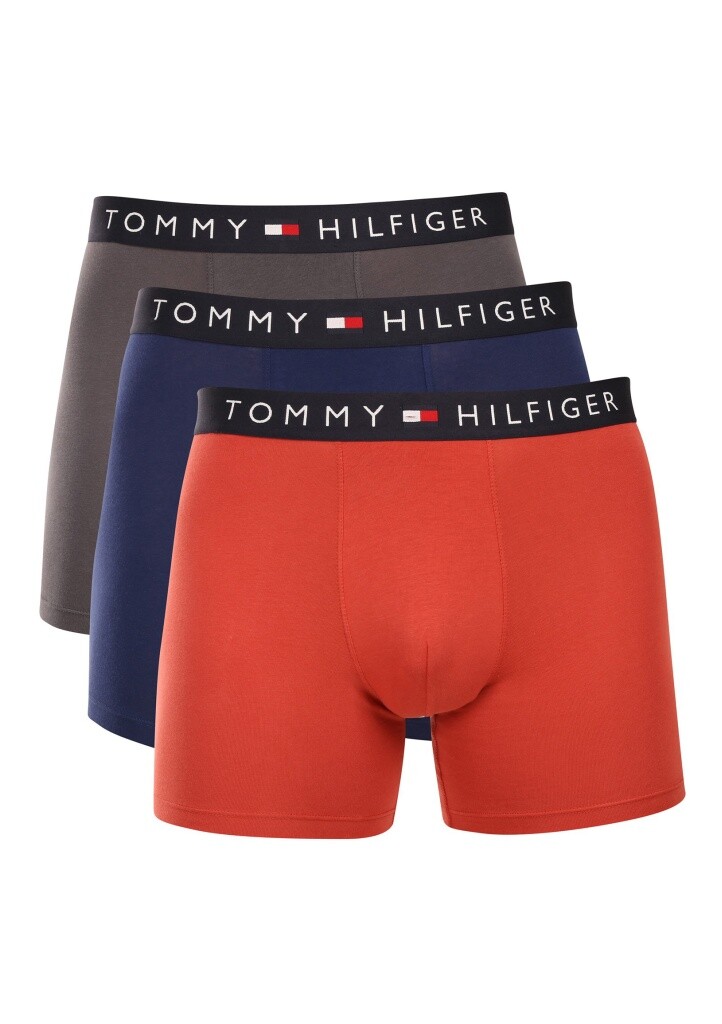 Pánské boxerky Tommy Hilfiger UM0UM03764 0UM 3PACK