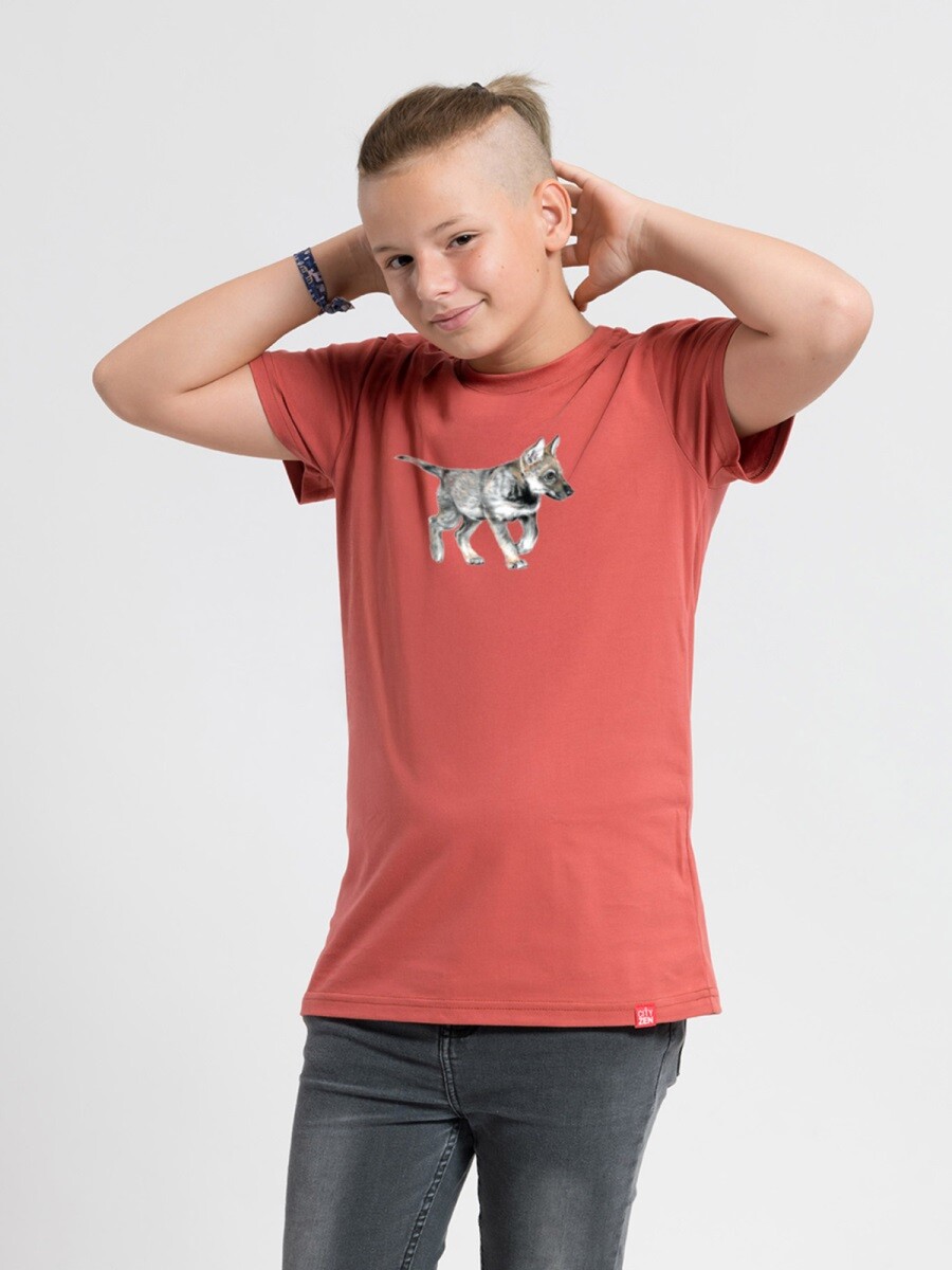 Dětské tričko cityzen matyáš s potiskem jelínek vlče cihlová 128-134