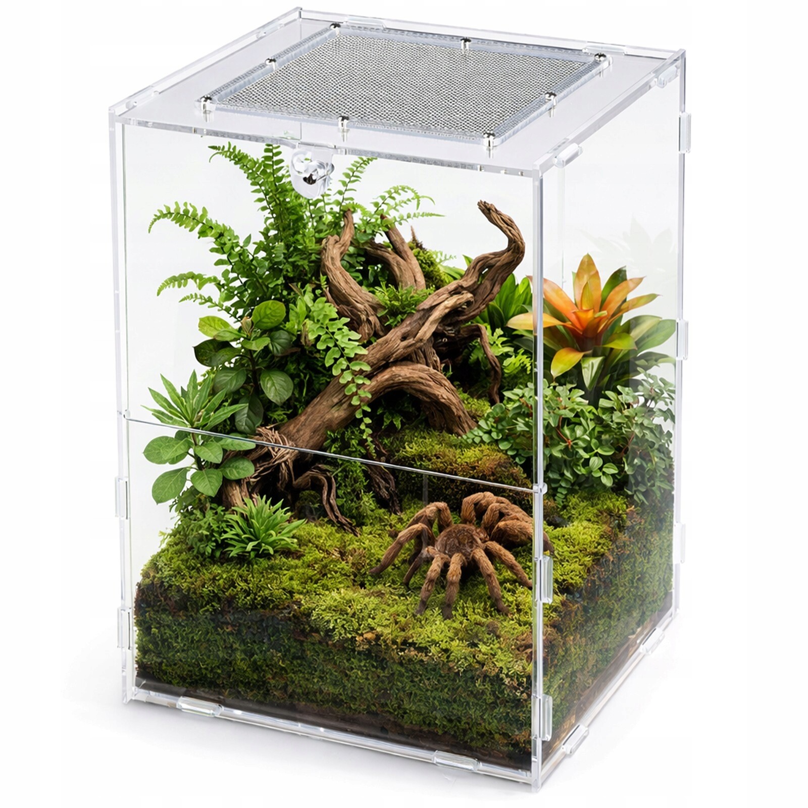 Vysoké Akrylové Lehké Průhledné Terárium S Dvířky Pro Pavouky