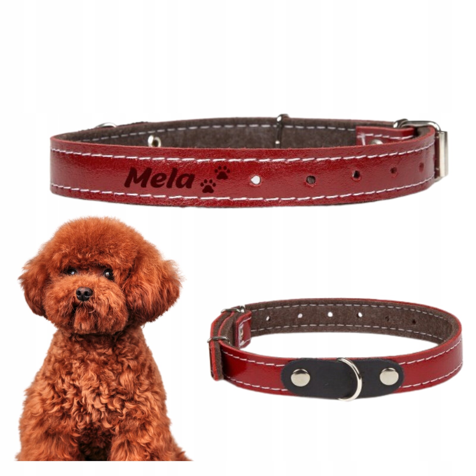 Kožený obojek pro psa s odolným jménem a gravírováním Bonus Dogeste L