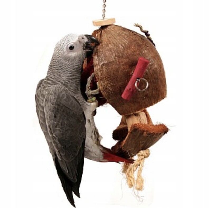 PaPuga na Kokosu – přírodní hračka pro papoušky