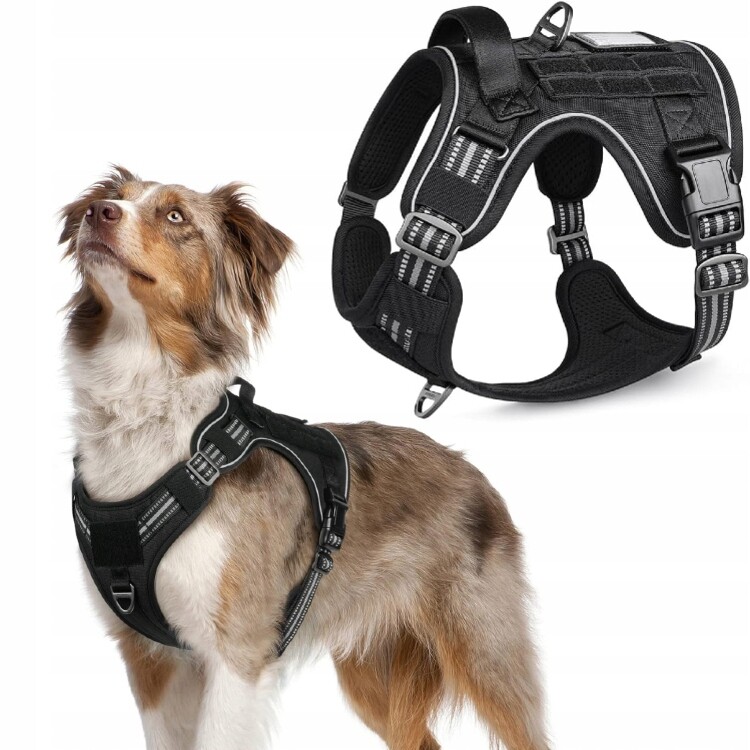 Taktické postroje Rabbitgoo M Beztlakové Černé Nastavitelné