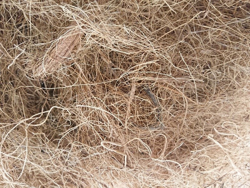 Quiko Výstelka do hnízda směs vláken (kokos) 100g