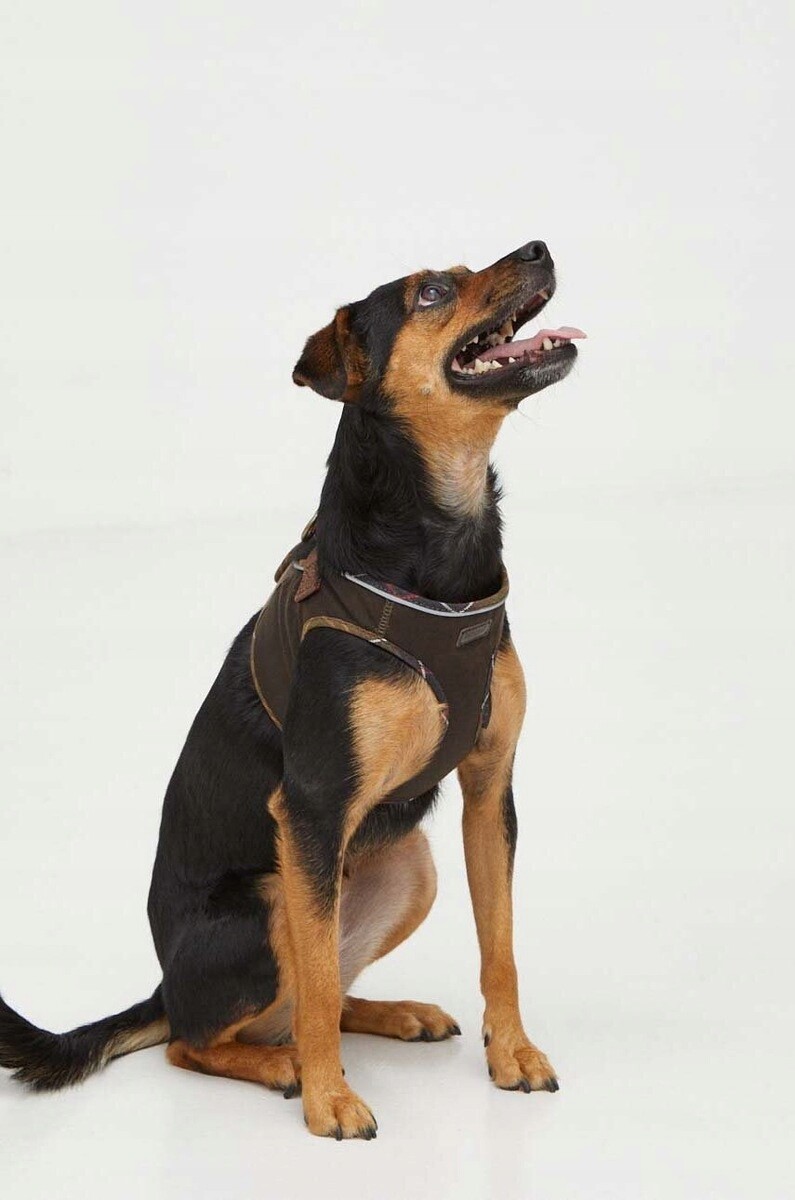 Barbour Postroj pro psa DAC0064 vel. M