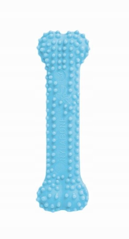 Kousátko pro psa Nylabone Kost pro štěňata Nylabone