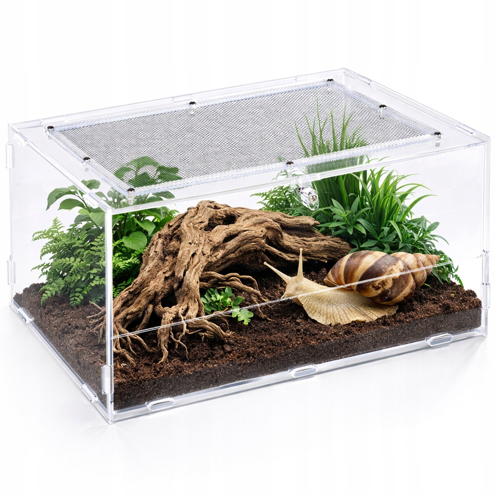 Repti Zoo Akrylové Terárium 30X20X15 Krystalická Viditelnost Ventilace