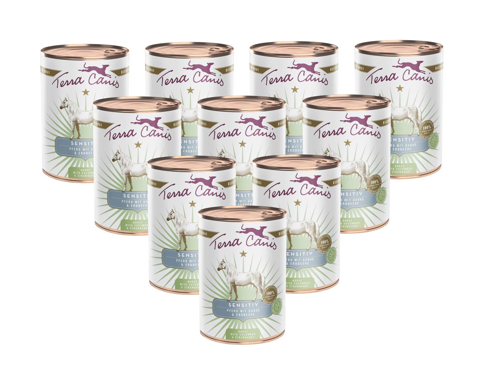 Terra Canis Sensitive Konina s okurkou a jahodou 10x400 g