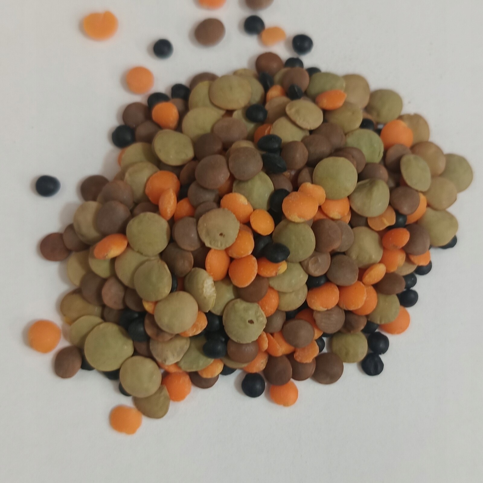 Čočka Barevná 4 Barvy 1 Kg Rafex