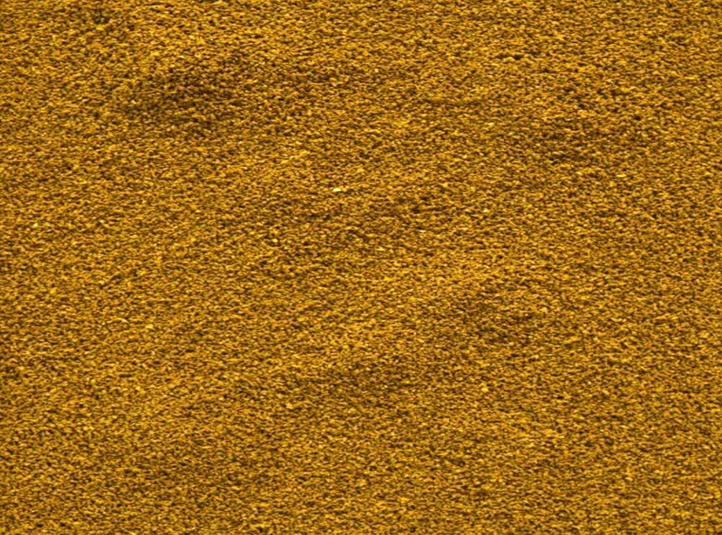 Glopex Krmivo Pro Ryby Allium Gran S Česnekem 1000 G