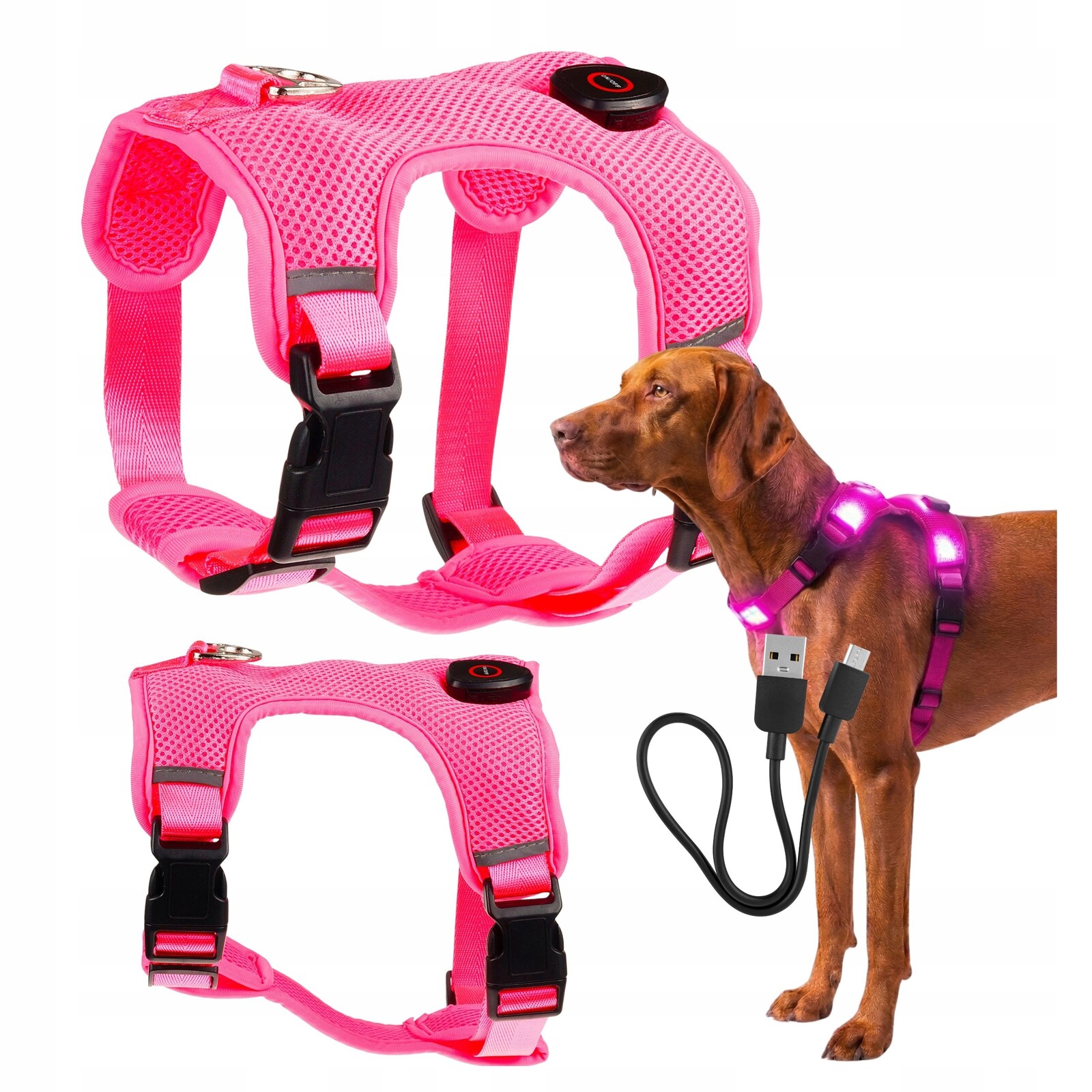 Svítící Postroj pro psa Led svítící ve tmě netlakový typu Guard L Usb