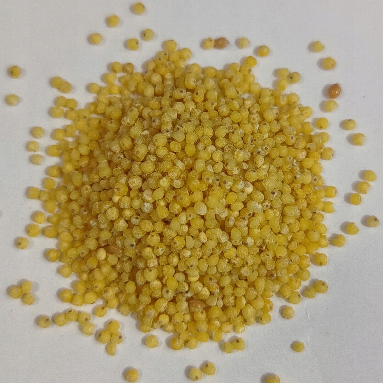 Jáhlová Kaše 1 kg Rafex