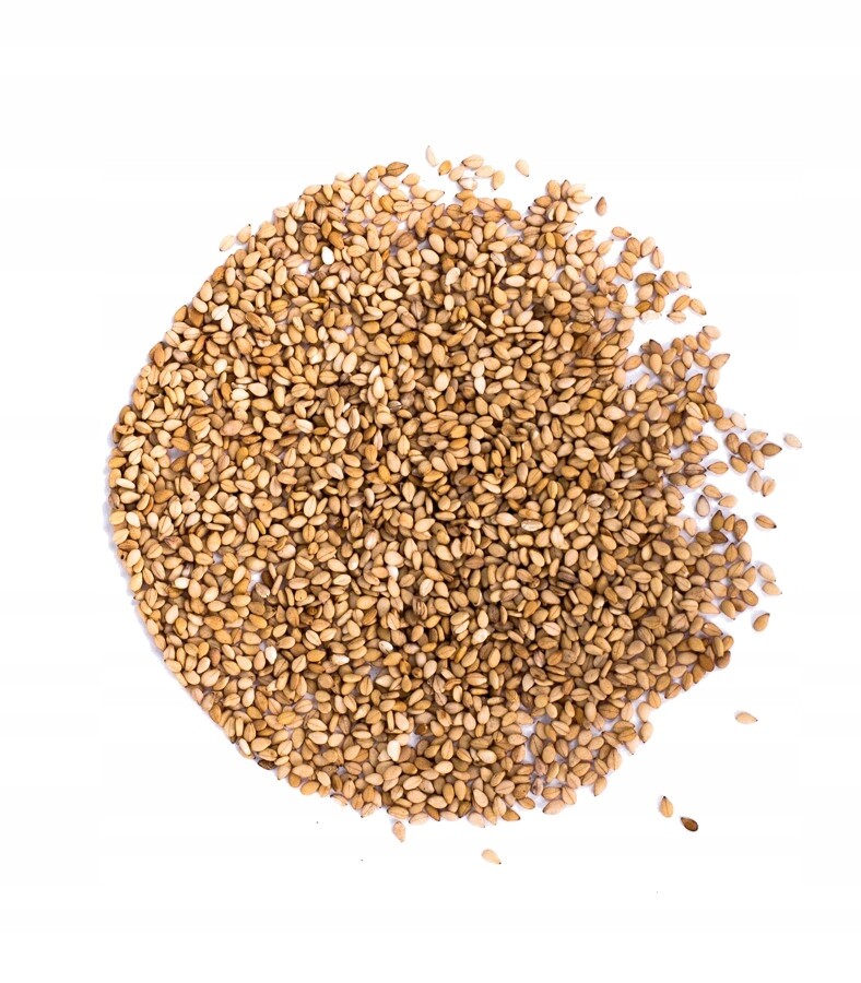 Pražený sezam 5 kg bílý na sushi a asijské pokrmy japonské sušené kuše