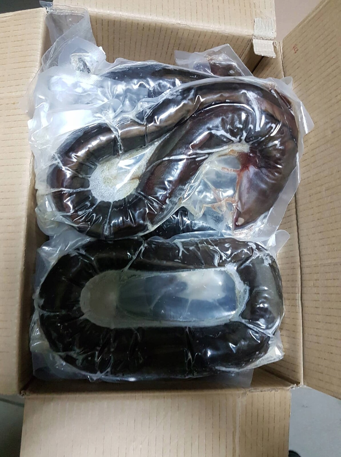 Surový úhoř, čerstvý, 2 kg