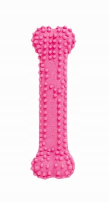 Kousátko pro psa Nylabone Kost pro štěňata s výstupky