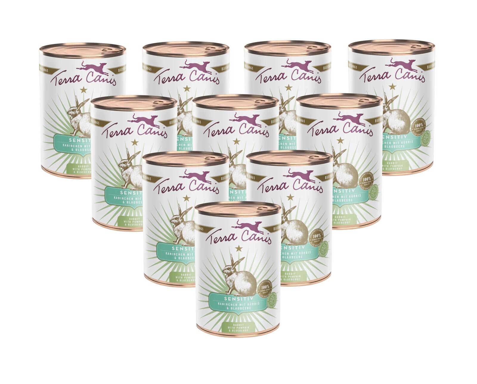 Terra Canis Sensitive Králík s dýní a borůvkami 10x400 g