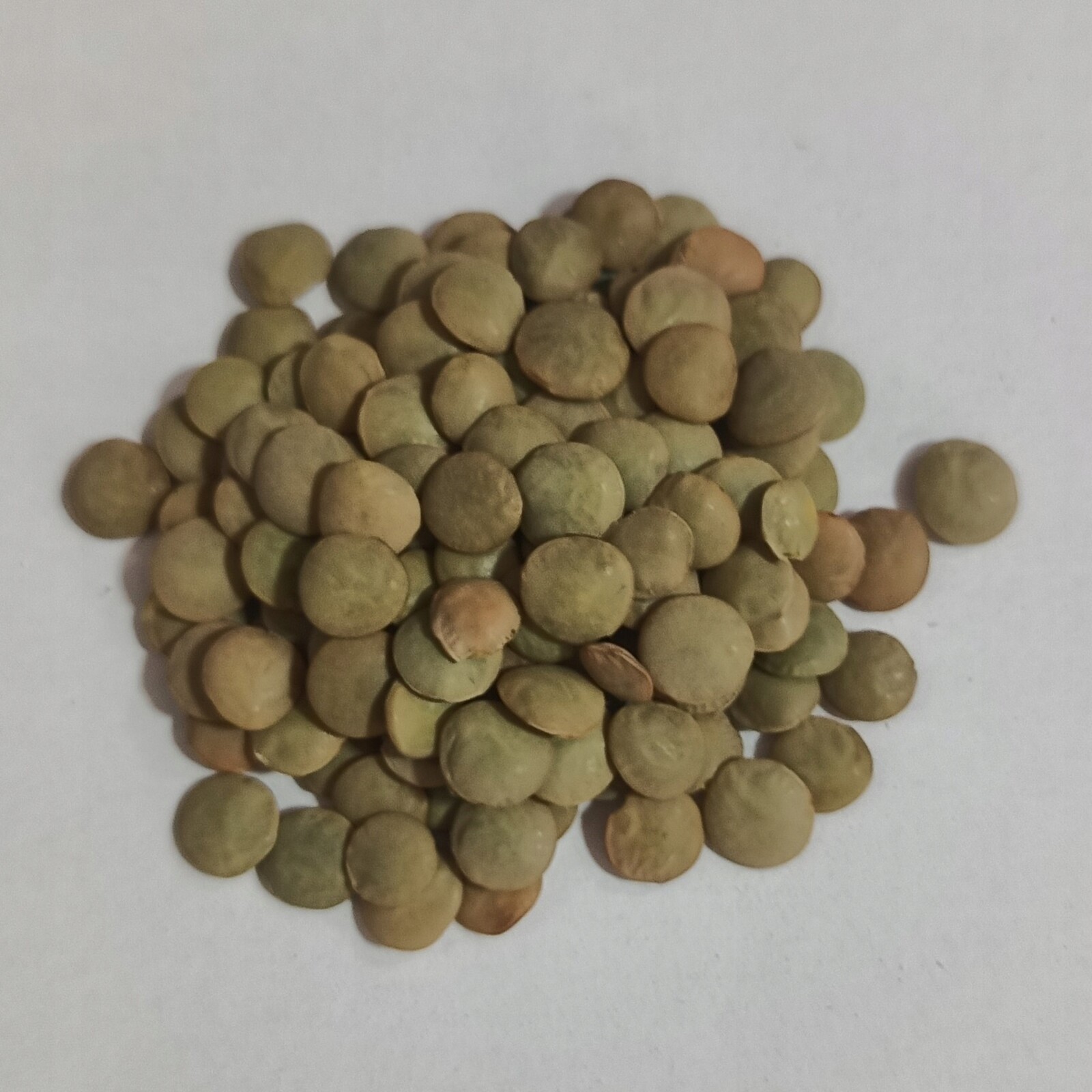 Zelená Čočka 1 kg Rafex