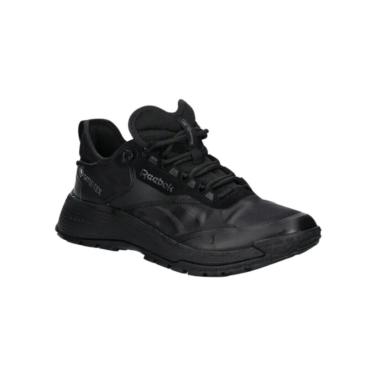 Reebok Sport  Dmx Trail Gtx  Černá