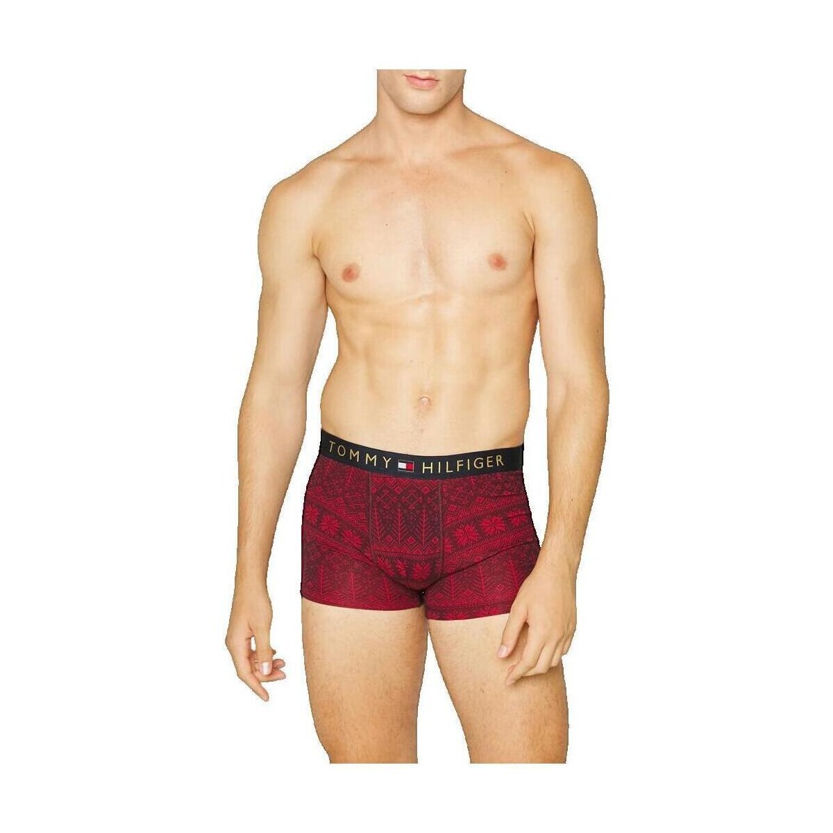 Tommy Hilfiger  Boxer Tommy Hilfiger Marron  Hnědá