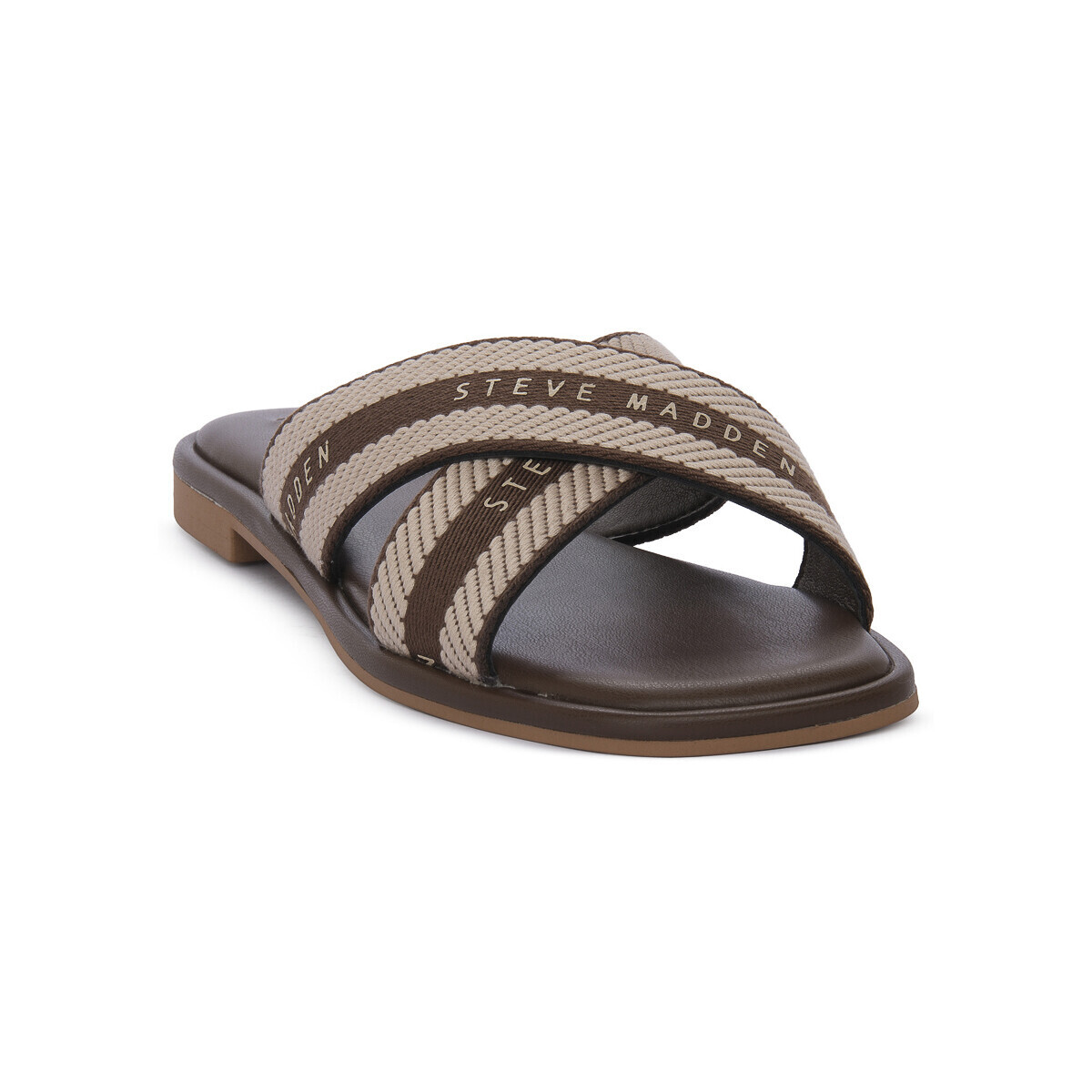 Steve Madden  BROWN ARROWS  Hnědá