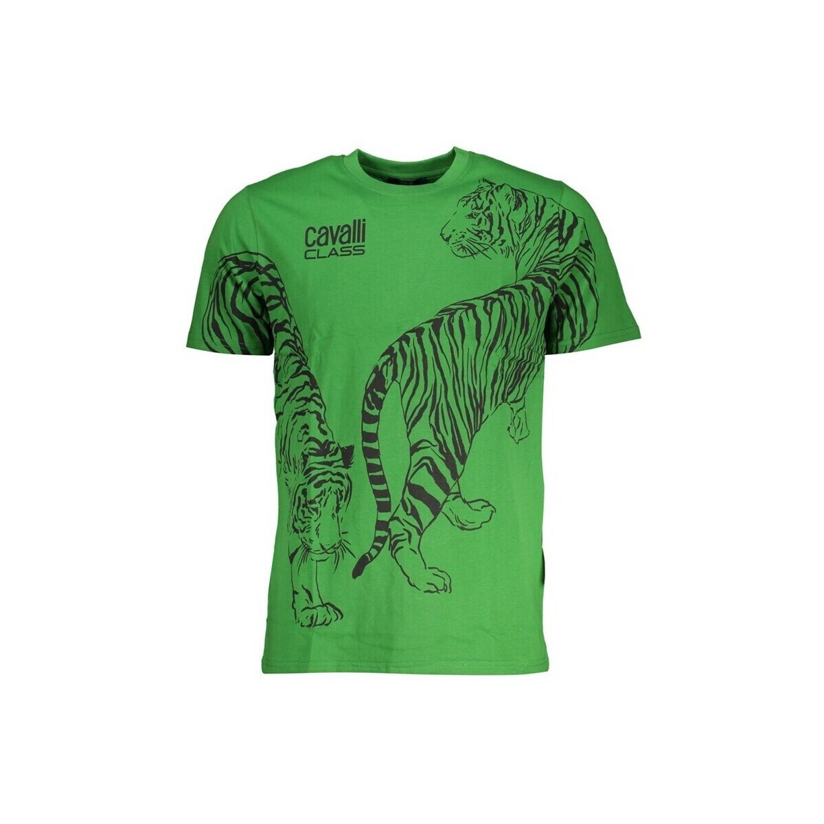 Roberto Cavalli  qxt62sjd060ve073342xl  Zelená