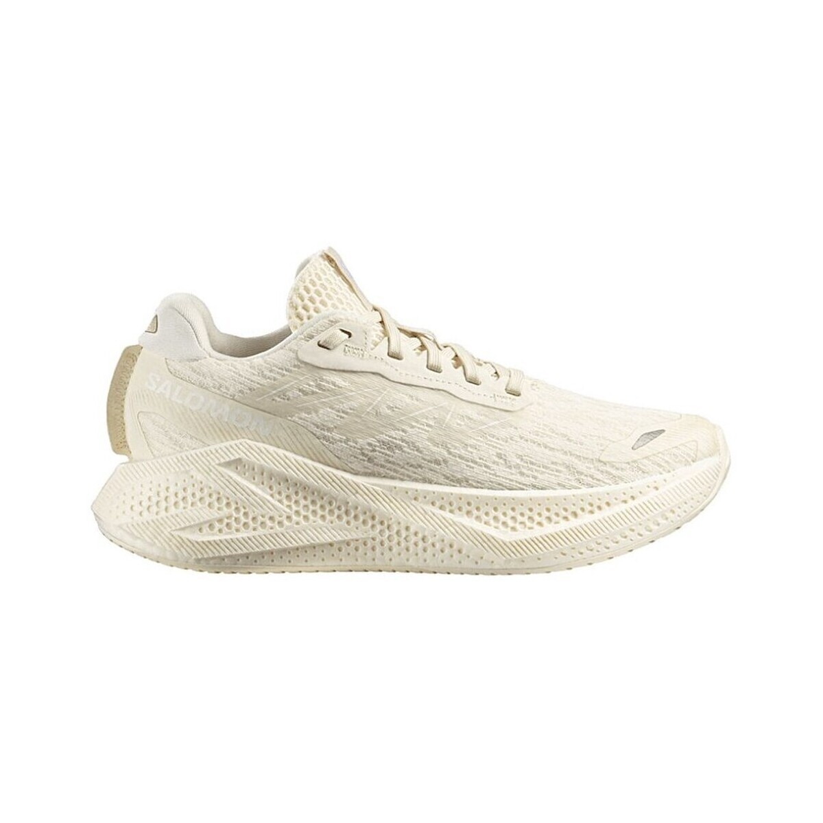 Salomon  Aero Glide 4  ruznobarevne