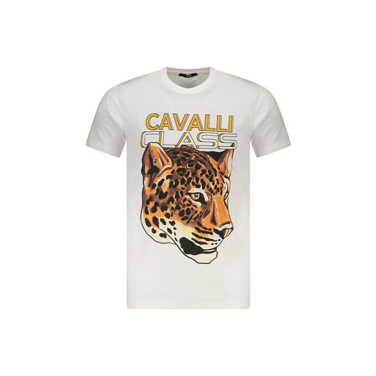 Roberto Cavalli  txt60ujd060bi005332xl  Oranžová