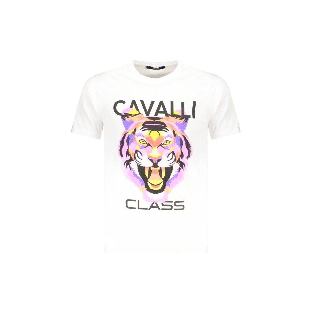 Roberto Cavalli  txt60fjd060bi005332xl  ruznobarevne