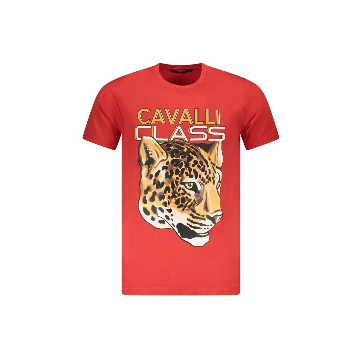 Roberto Cavalli  txt60ujd060ro020002xl  Béžová