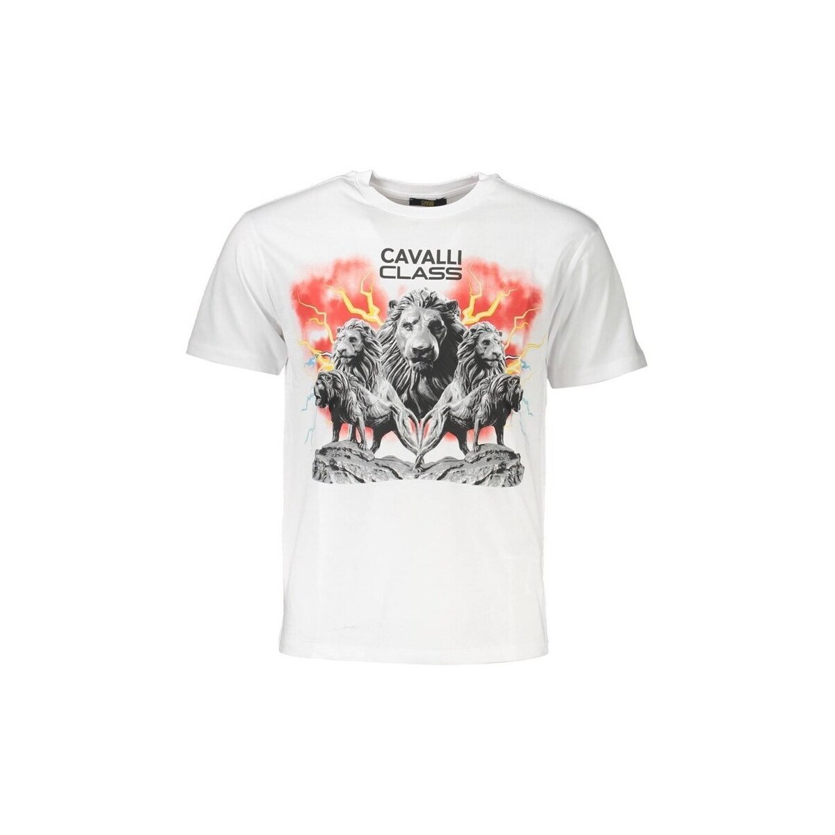 Roberto Cavalli  qxt60fjd06050260f3bianco0005xl  Červená