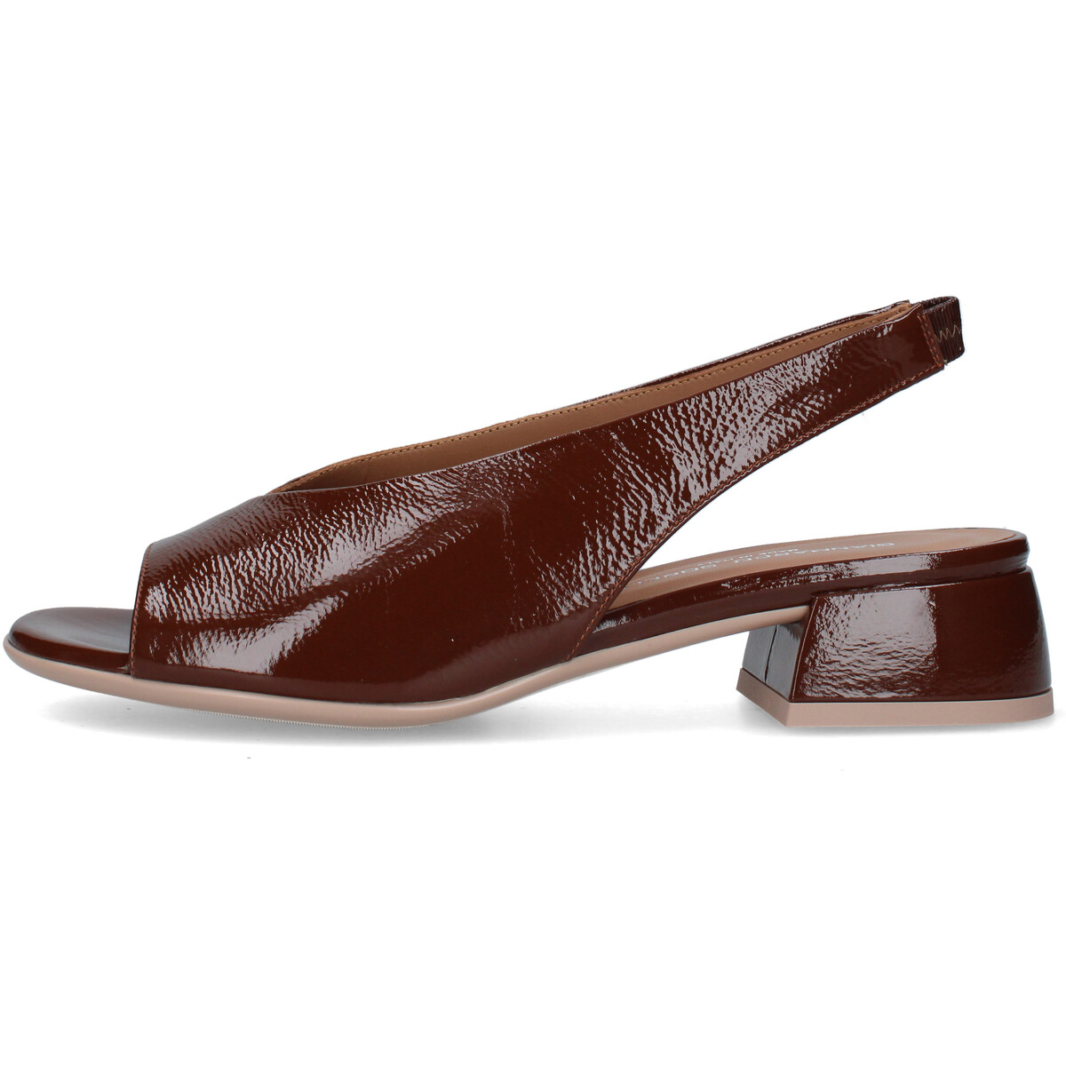 Gianmarco Sorelli  3090/RIVA  Hnědá