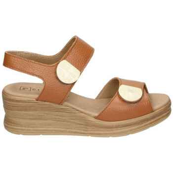 Pitillos  11054  Hnědá